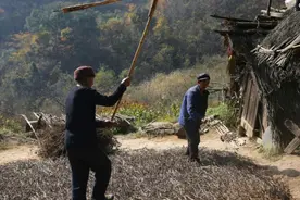 两位亲家结伴同住深山20年，喝苞谷酒吃腊肉，夜晚常有野兽来敲门图片