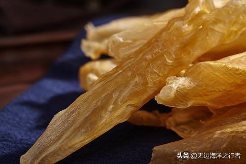 鱼胶花胶多钱 2026年花胶和鱼胶的价格