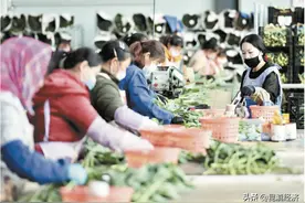 城际铁路网提上日程，昆明22条城乡融合发展要点有这些图片