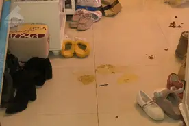 昆明一小区20多只狗接连暴毙！呕吐 抽搐 惨叫后身亡 主人痛哭抱着尸体不愿撒手图片
