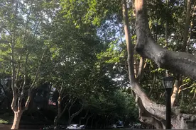 浙江大学玉泉校区图片