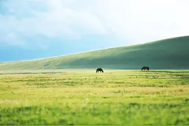 一个人真正的修养：恼时不争，乱时不慌，怒时不言图片