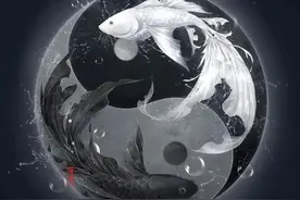 十二生肖 龙图片