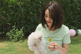 宋祖儿私服穿搭，牛油果绿T恤配白色慢跑裤，满屏的少女感图片