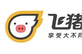 四年换三帅，身处阿里边缘的飞猪难摆“迷途”？图片