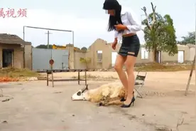 “只要敢踩，钱是分分钟的事”，揭秘美女虐杀动物定制贩卖产业链图片