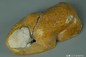 【国宝品鉴】黄釉匍匐俑图片