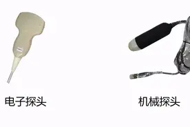 猪用B超机械探头与电子探头的区别图片