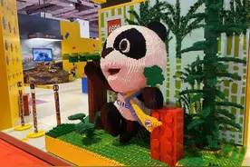 聚焦进博会 植物基乐高搭“进宝”新奇又环保图片