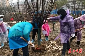 以前“义务植树尽责牌”，如今变成“电子身份证”，再也不担心脱落了图片
