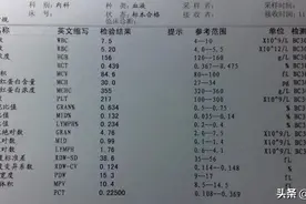 教你如何看懂血常规图片