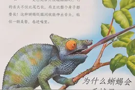 15个你不知道的动物冷知识，快告诉爱问“为什么”的3-8岁宝宝图片