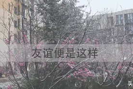 友谊便是你说一声，我随时都在，你拥有这样的友谊吗？图片