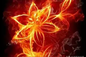 斗破苍穹：远古八大族异火最多的家族，炎族拥有五种，药族有两种图片