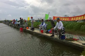 在黑坑钓鱼比赛时怎样才能多钓鱼？黑坑钓鱼比赛的取胜技巧图片