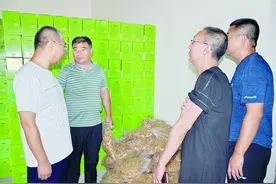 云州区│新田园路上的摇滚图片