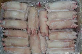 市场上的冻猪脚为什么会这么便宜？广东卖熟食的朋友说出了原因图片