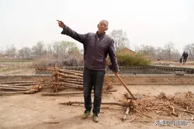 河南大叔忍痛砍掉3亩开花果树，背后的原因让人心酸无奈图片