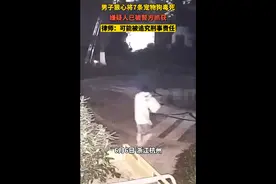 杭州男子深夜投毒喂狗，因老婆孩子经常被狗吓到，40多天7只狗被毒死图片