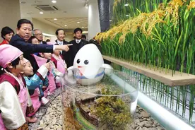 东亚粮食生产：中国自给率高，日韩不足30%，朝鲜勉强自给图片
