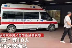 南京驾车撞人事件后续：“胖哥”等10人被认定见义勇为图片