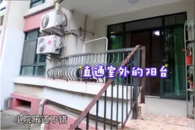 两男两女八猫同居，睡觉不关门不关灯不盖被，隔音差去露台要爬窗图片