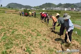 驻村干部谢涛：扎根基层促发展，点滴帮扶暖心窝图片