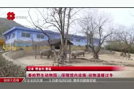 秦岭野生动物园：保障馆内设施 动物温暖过冬图片