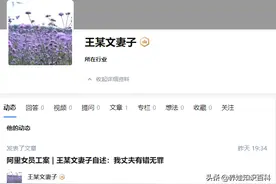 阿里员工案，王某文妻子称丈夫被“勾引”，全文是一位妈妈的心酸图片