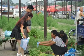六旬老人“草地里”卖菜，年入25万，260元一天找小工无人愿意干图片
