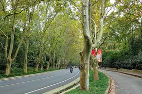 南京中山陵，首批“中国20世纪建筑遗产”，景美且建筑庄严宏伟图片