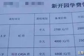 幼儿园“收费单”火了，远超普通家庭收入，家长：学费都交不起了图片