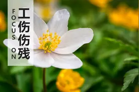 你以为工伤只是赔钱而已吗？处理不好工伤，对企业的伤害很大图片
