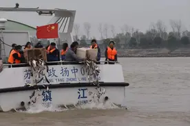 长江禁渔十年后，里面的鱼最大能长多大？期间渔民该如何谋生？图片