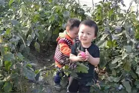 如果经济条件可以，要个二胎，15年后，3大优势显现，会很幸福图片