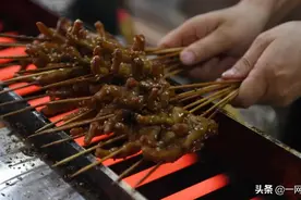 荷兰政府宣布，暂时中止亚洲厨师工作签证图片