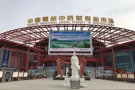 国内最大的药市是哪里，亳州还是安国，玉林还是成都，廉桥和清平图片