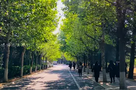 威海怎么办？引以为傲的山大威海、哈工大威海会被清理合并吗？图片
