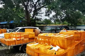 190箱违规海鲜产品被查获，现场控制22人！图片