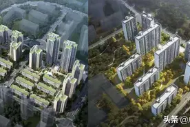 “双限地”项目最新剧透！这几个盘将亮相，清水单价2.14万/㎡起图片