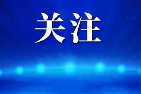 全运会乒羽项目将陆续展开，武汉五将力争带奖牌回家图片