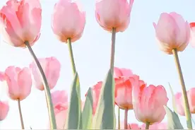 人这一生的福气，其实是有定数的图片