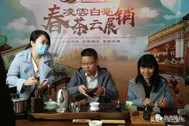 不见不散！明天这个广西产茶大县副县长邀您一起“云”品茶图片