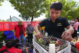 河南大哥开水果店，利用“0元水果”，半年赚了60万，方法易学习图片