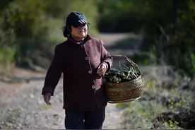 6旬大妈被儿子叫去城里带娃，被迫和老伴分离，不愿去也不敢拒绝图片