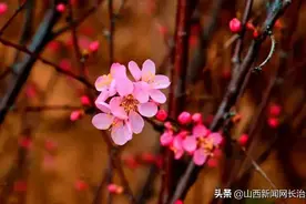 4月1日起，长治漳泽湖湿地开园时间有变图片