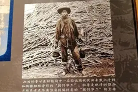 沉痛的历史图片