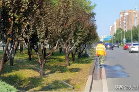 古稀老人“除草族”队：最大81岁，日薪70元，高龄打工人的喜与忧图片