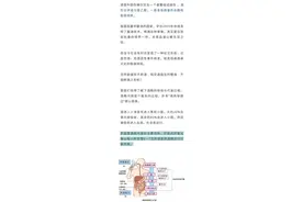 喝酒“断片”是怎么回事？一篇文章告诉你真实的原因图片