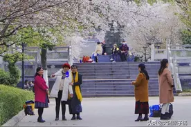 随州白云公园的樱花开了，你还不去看啊？图片